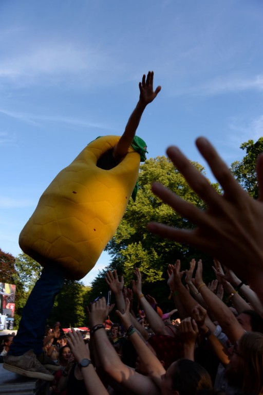 ../Images/Castlefest 2017 zondag 216.jpg